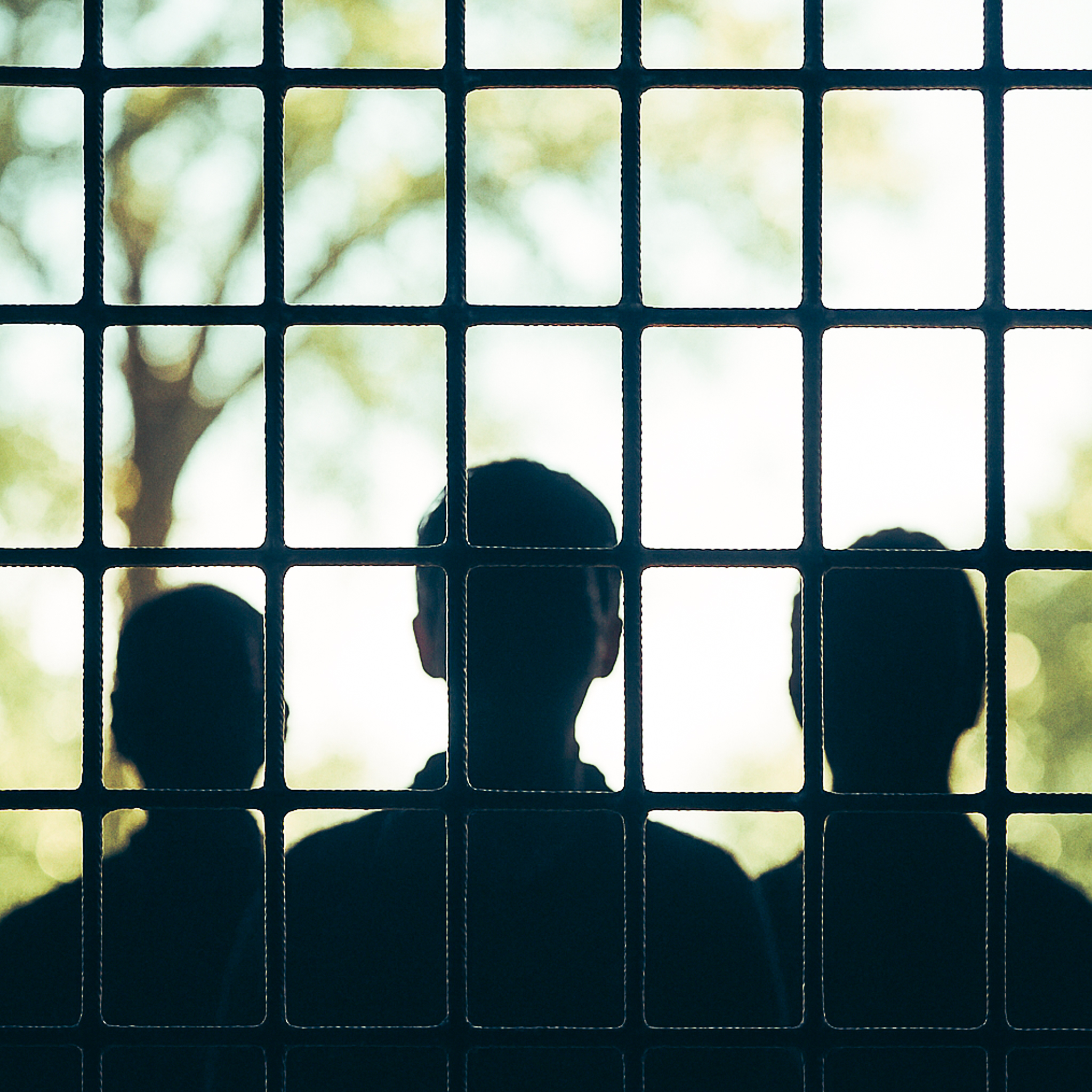 Immagine: sagome di tre persone in controluce dietro alle sbarre e alberi sullo sfondo luminoso- clicca sull'immagine per leggere il redazionale